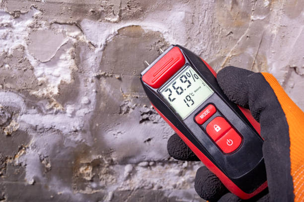 Best Commercial Mold Removal  in Greenfield, IL